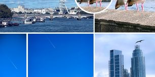 W1 Homework of Nuke – Moodboard
